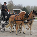 NPZ Drivers Challenge Bern 2012