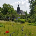 vom Garten aus der Blick auf das Dobitschener Wasserschloß