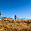 Trail dans les Aiguilles Rouges, Matthieu Brignon Guide à Aussois, Haute-Maurienne, Maurienne Vanoise