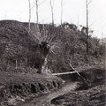 1er avril 1930 - Monstreux