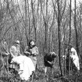 Dans le bois du Spluc avril 1930