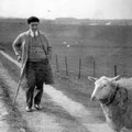 1928