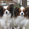 Fea und Cindy