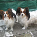 Cindy und Fea
