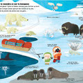 Mon tour du monde des animaux ed. Tourbillon © laurence jammes/all rights reserved 