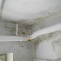 Leitungswasserschaden mit Schimmel