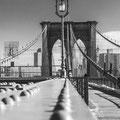 New York, USA