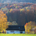 Schweiz (Albis)