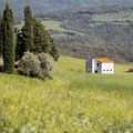 Toskana, Italien