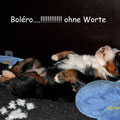 und Boléro zeigt euch wie Entspannung richtig geht!
