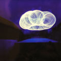 “lightpainting”