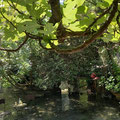 eau photo 5