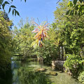 eau photo 1