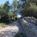patrimoine photo 8