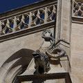 coup de coeur photo 8