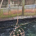 eau photo 11