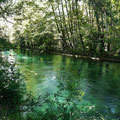 coup de coeur photo 10