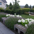 Moderner Pflegeleichter Familiengarten I Bornheim-Rheinland