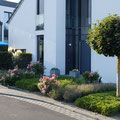 Linearer Vorgarten I Bornheim-Rheinland