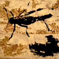 WANDERHEUSCHRECKE / Locusta Migratoria     (Acryl, Aerosol)     60x50        28.02.2008