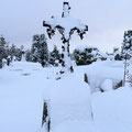 Cimetière sous la neige - Décembre 2011 - Photographie M. Gauthier