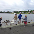 Stadtsee Tjörnin