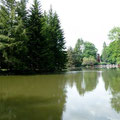 der See mit Insel