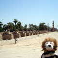 Spalier für mich in Ägypten