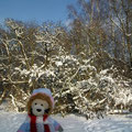 Strahlend blauer Himmel und Sonnenschein - Winter im Tierpark.