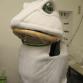 Kostümbau Frosch