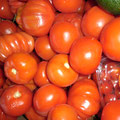 Tomates