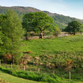 Around Penclogwynau cottage, first evening