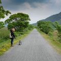 On the Mawddach Trail