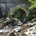 River Mawddach at Coed y Brenin Forest Park