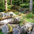 Another forest trail at Coed y Brenin Forest Park