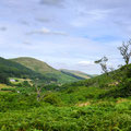 College Valley Walk, the Cheviots,