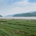 On the Mawddach Trail
