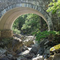 River Mawddach at Coed y Brenin Forest Park