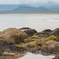 On Harlech beach