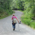 Another forest trail at Coed y Brenin Forest Park