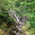 Coed y Brenin Forest Park trail