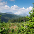 Coed y Brenin Forest Park trail