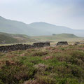 Walk through the hills at Cregennan Lakes