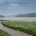 On the Mawddach Trail