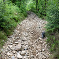 Shale path, Coed y Brenin Forest Park trail