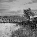 Bottom of one acre field