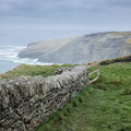 Tintagel: coast path, west towards Trebarwith