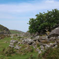 Looking toward Barmouth from above Cregennan Lakes