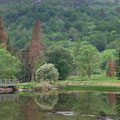 Lakeside walk at Dol Idris
