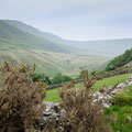 Walk through the hills at Cregennan Lakes